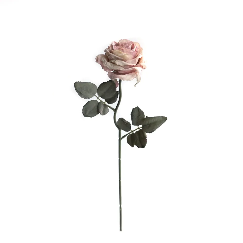 Rosas multicamadas com cor de cortiça