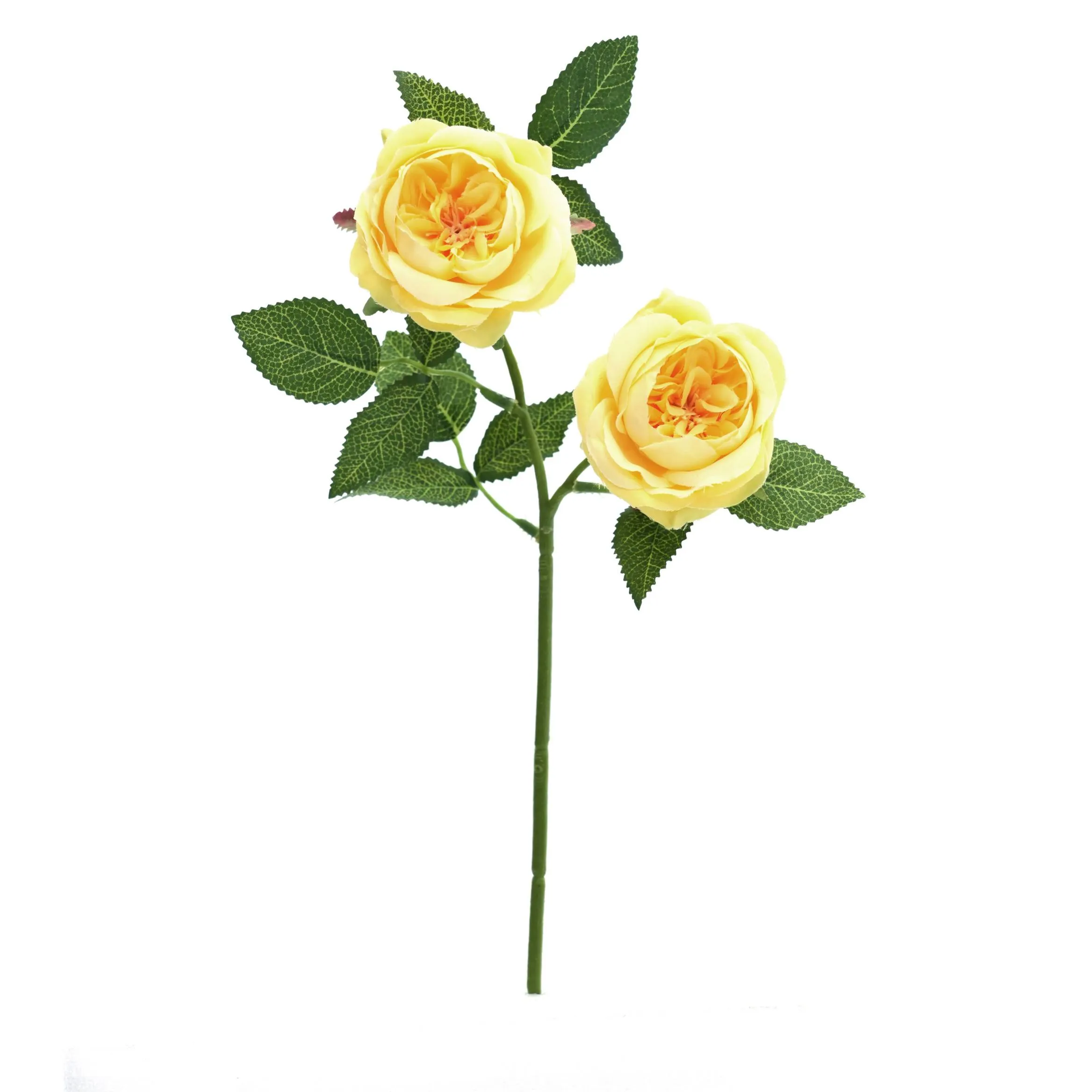2 rosas