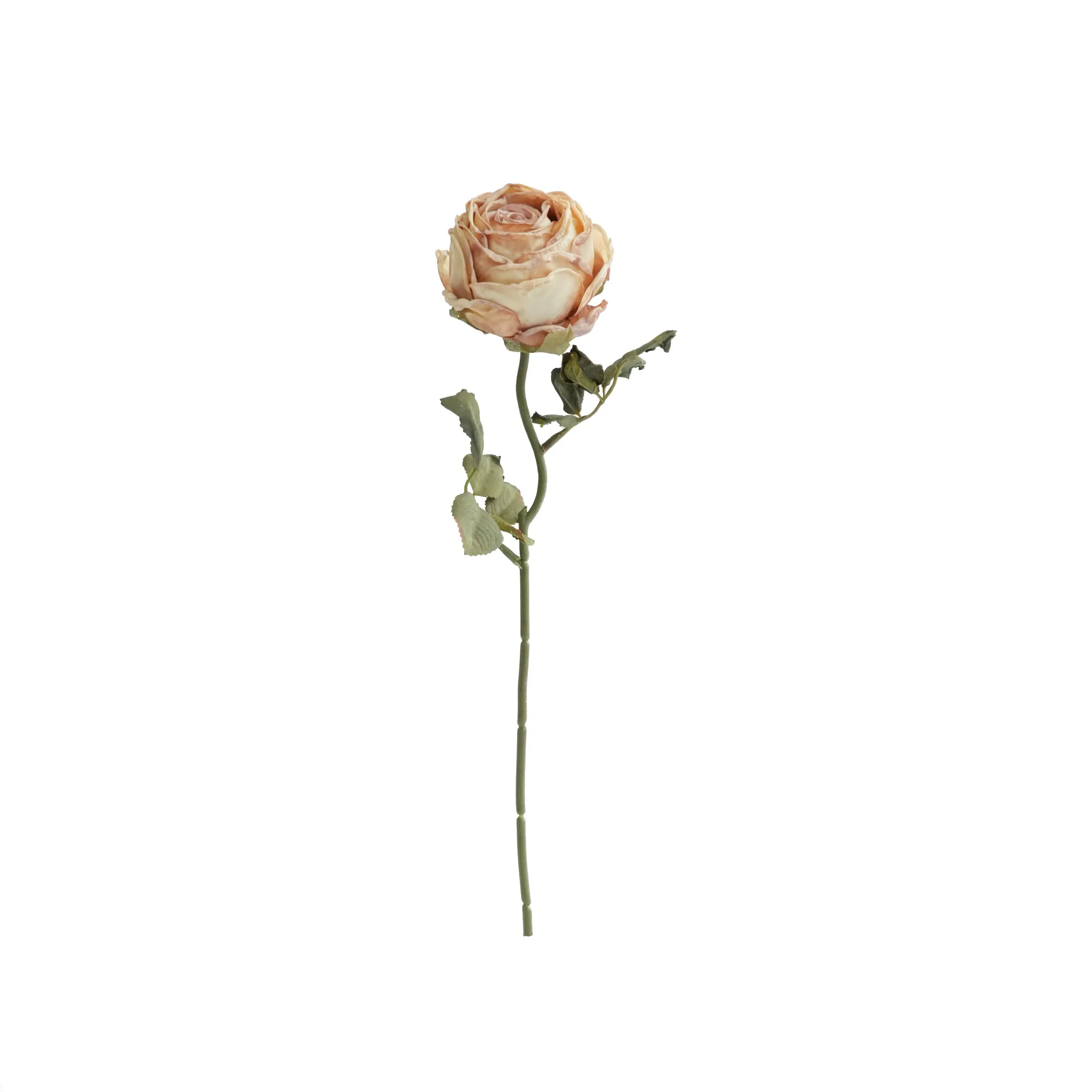 Rosas redondas picadas