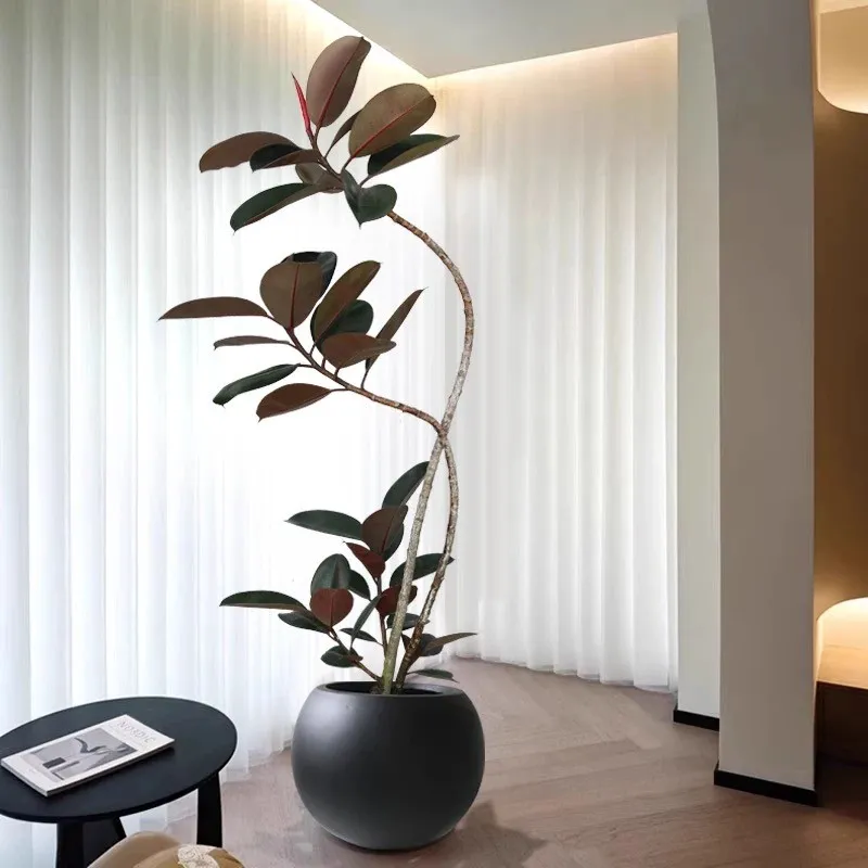 Planta em vaso de borracha artificial
