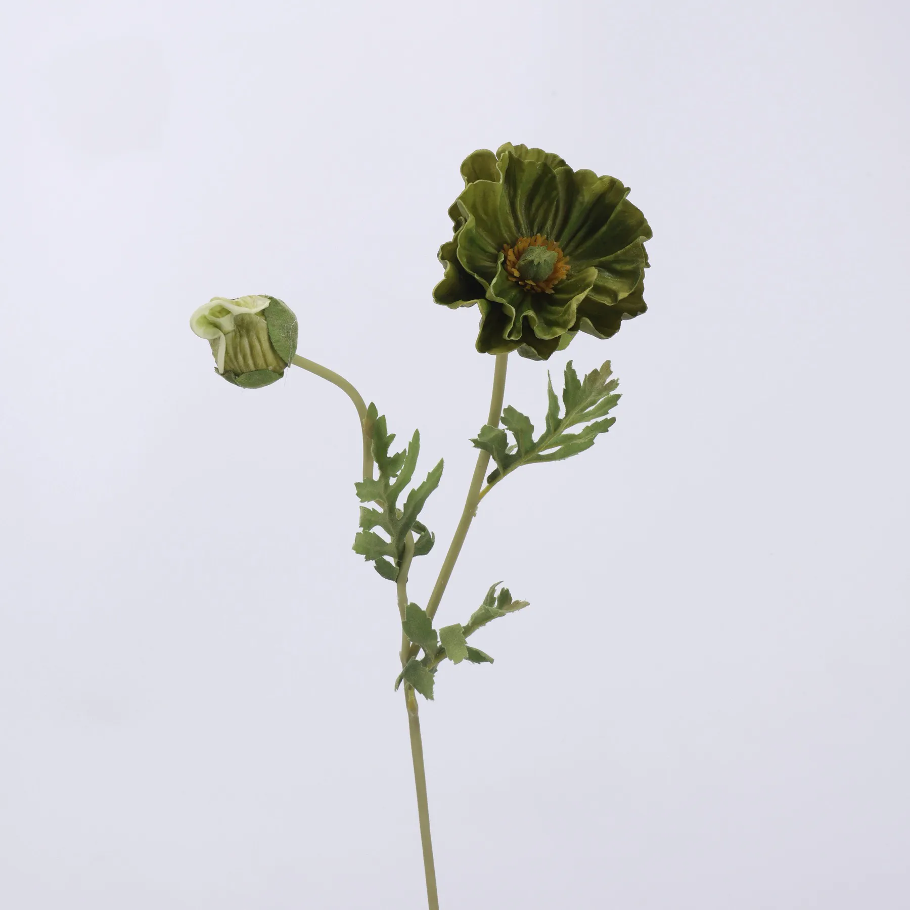 poppy de milho