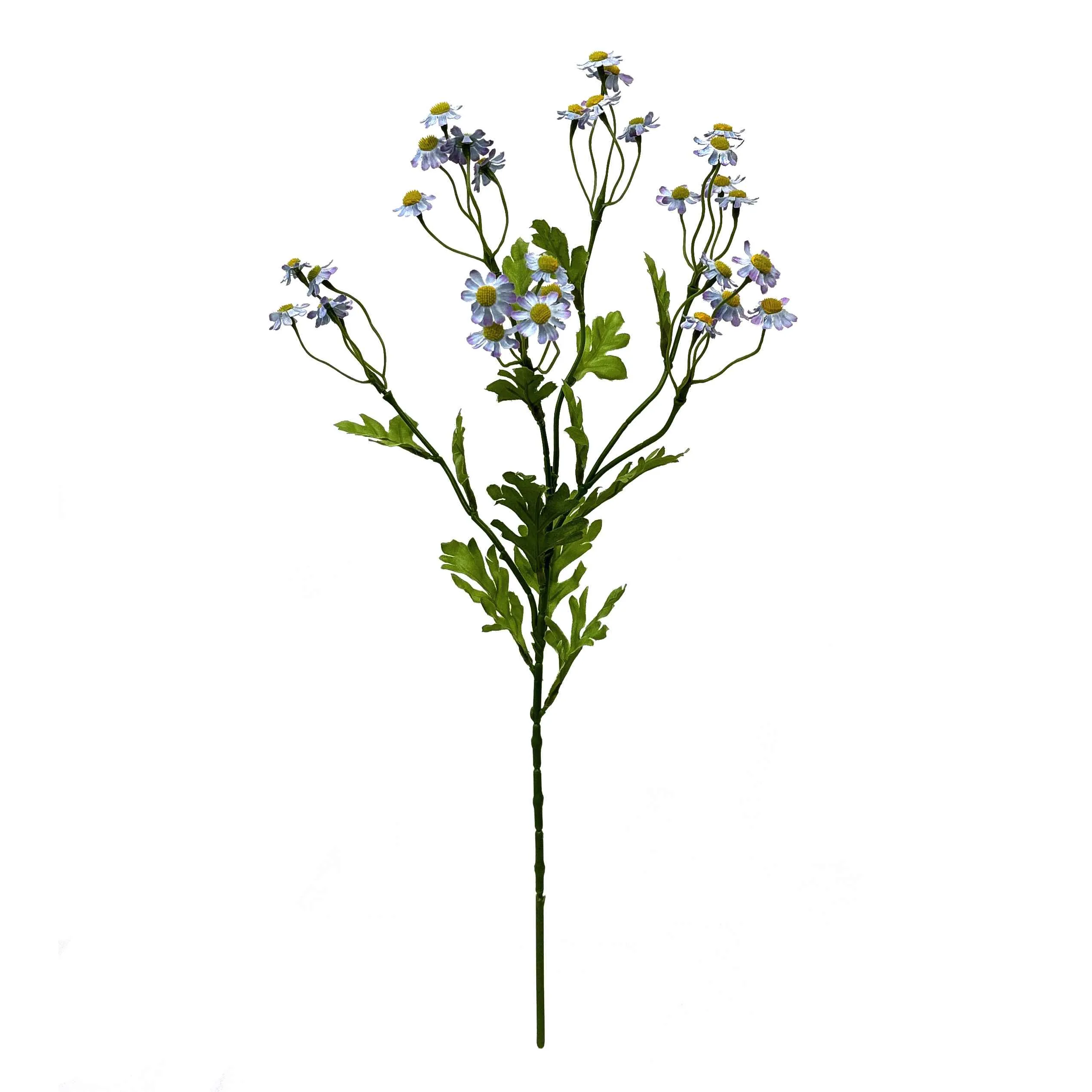 Uma pequena margarida