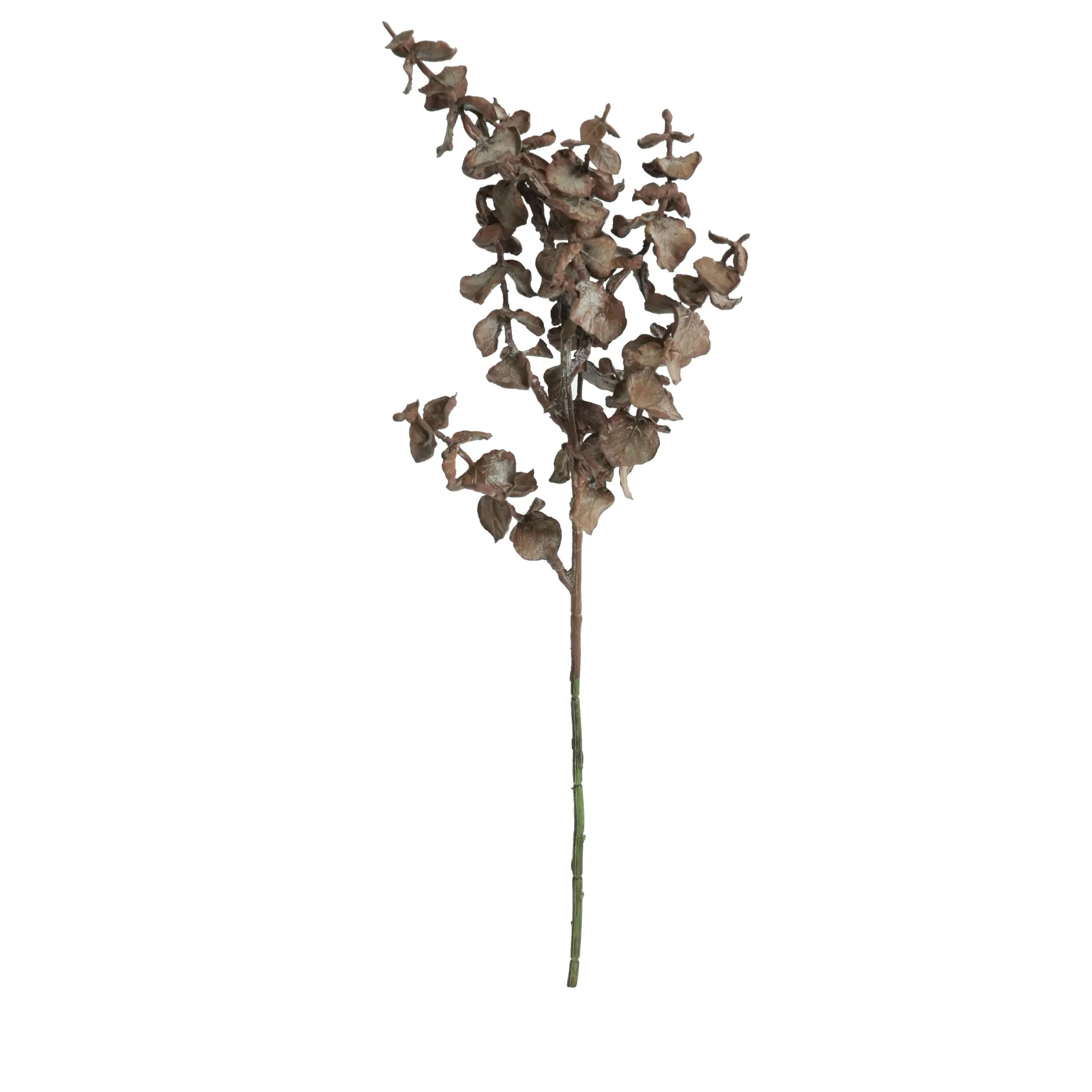 Uma única folha de moeda de cobre