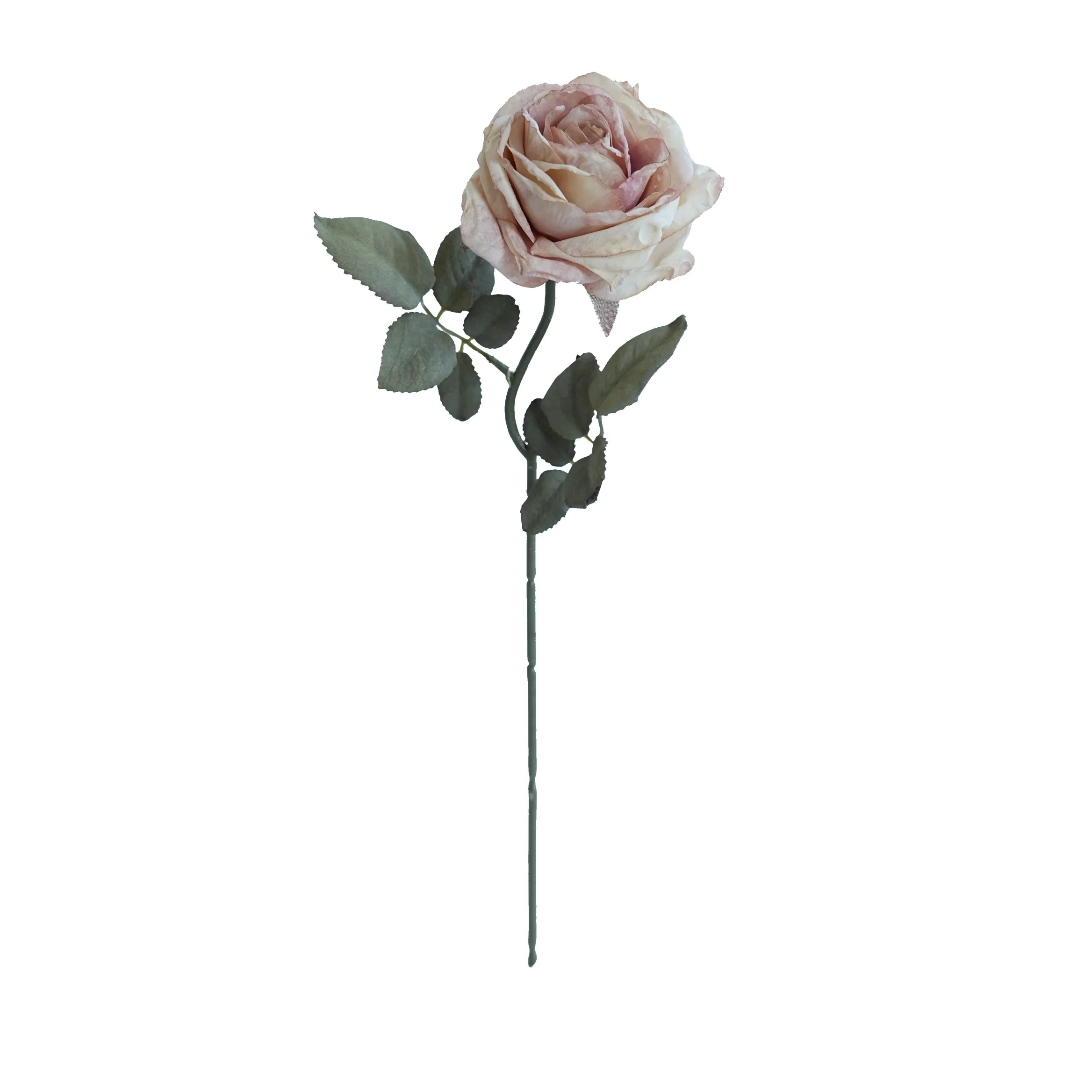 Rosas multicamadas com cor de cortiça