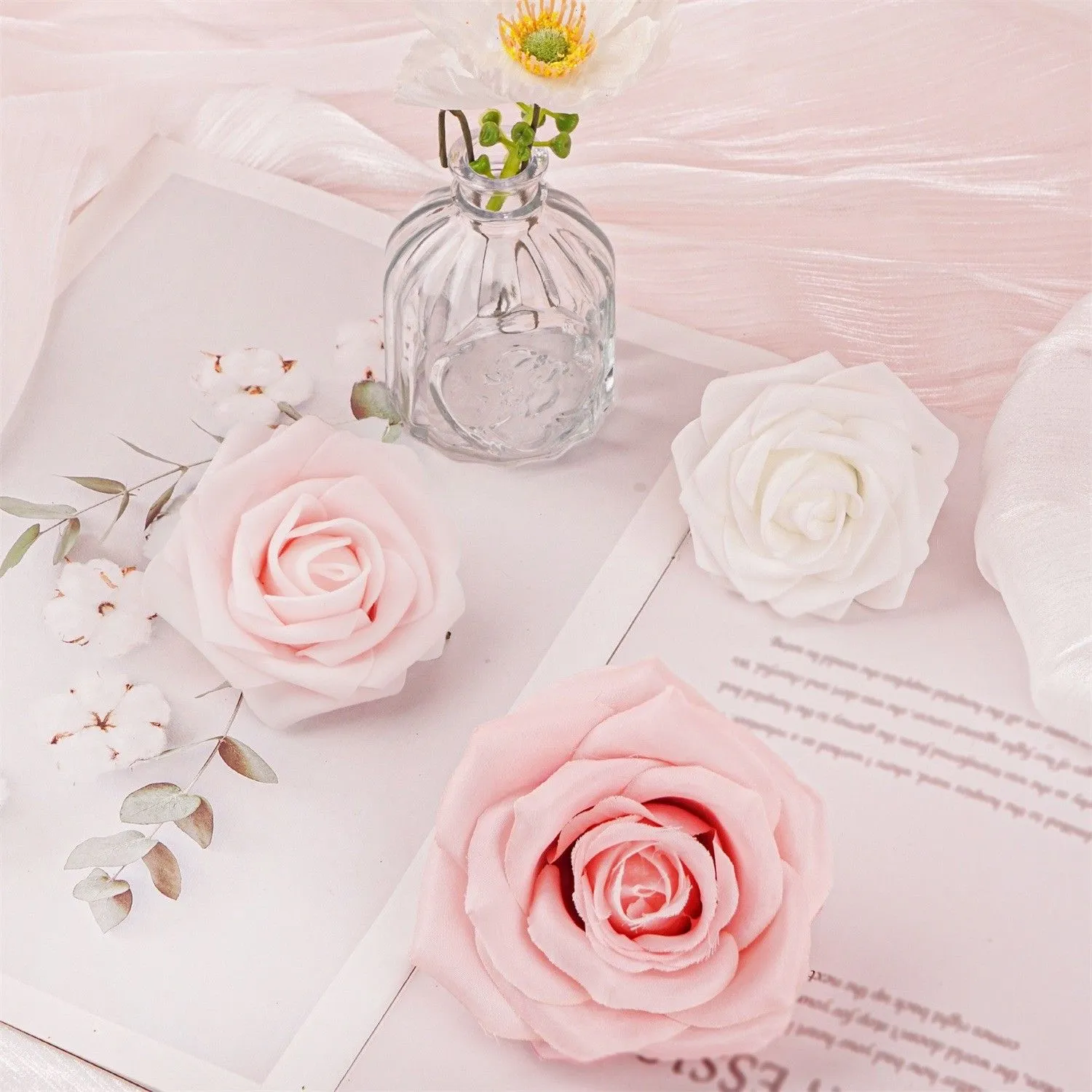 rosa rosa