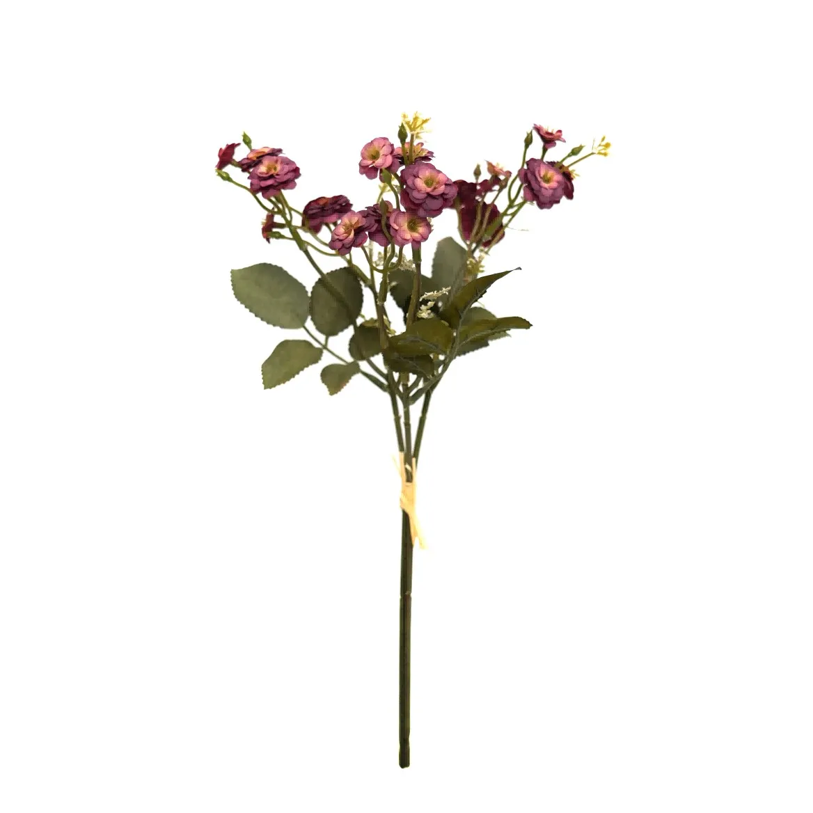 pequenas rosas