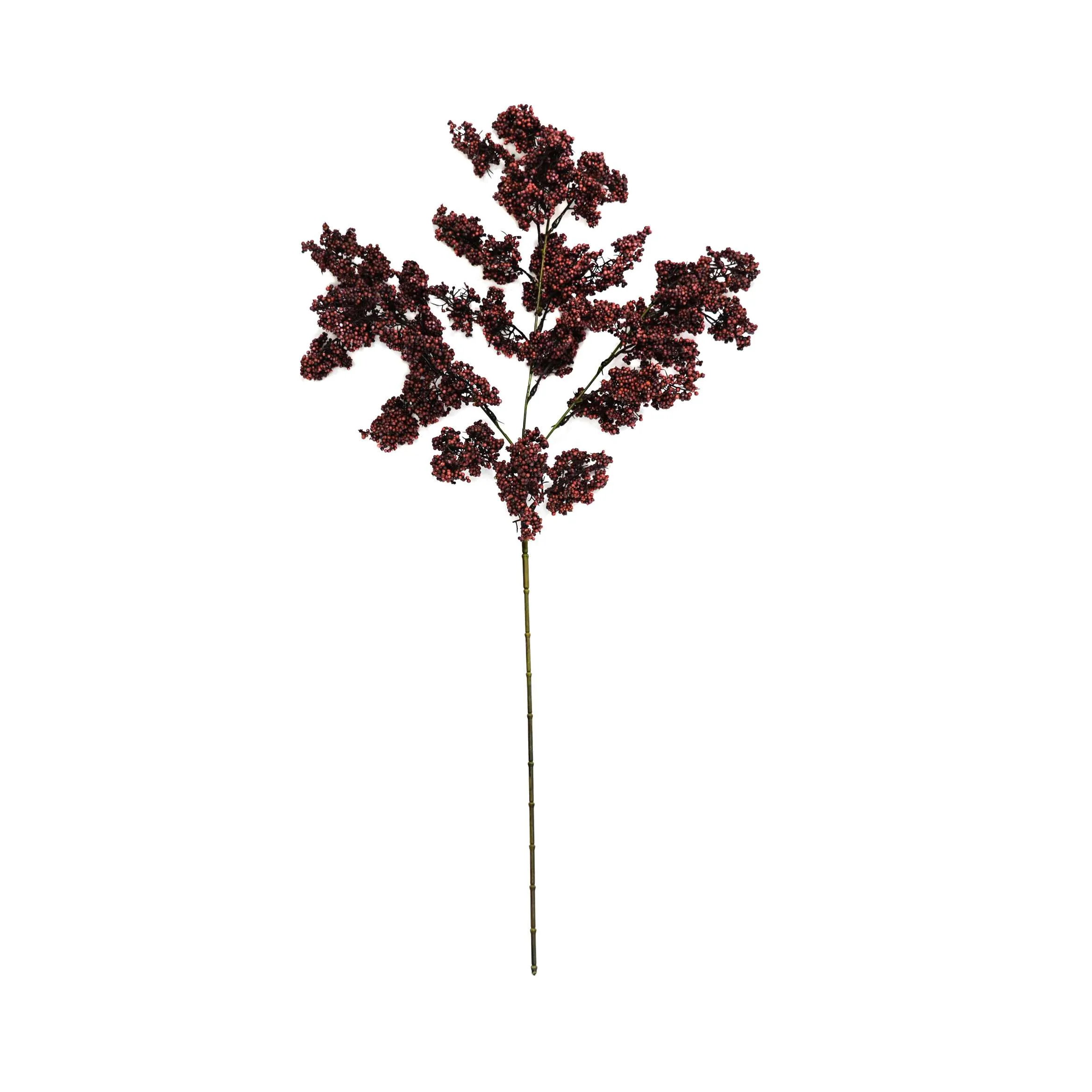Uma única fruta verde de inverno
