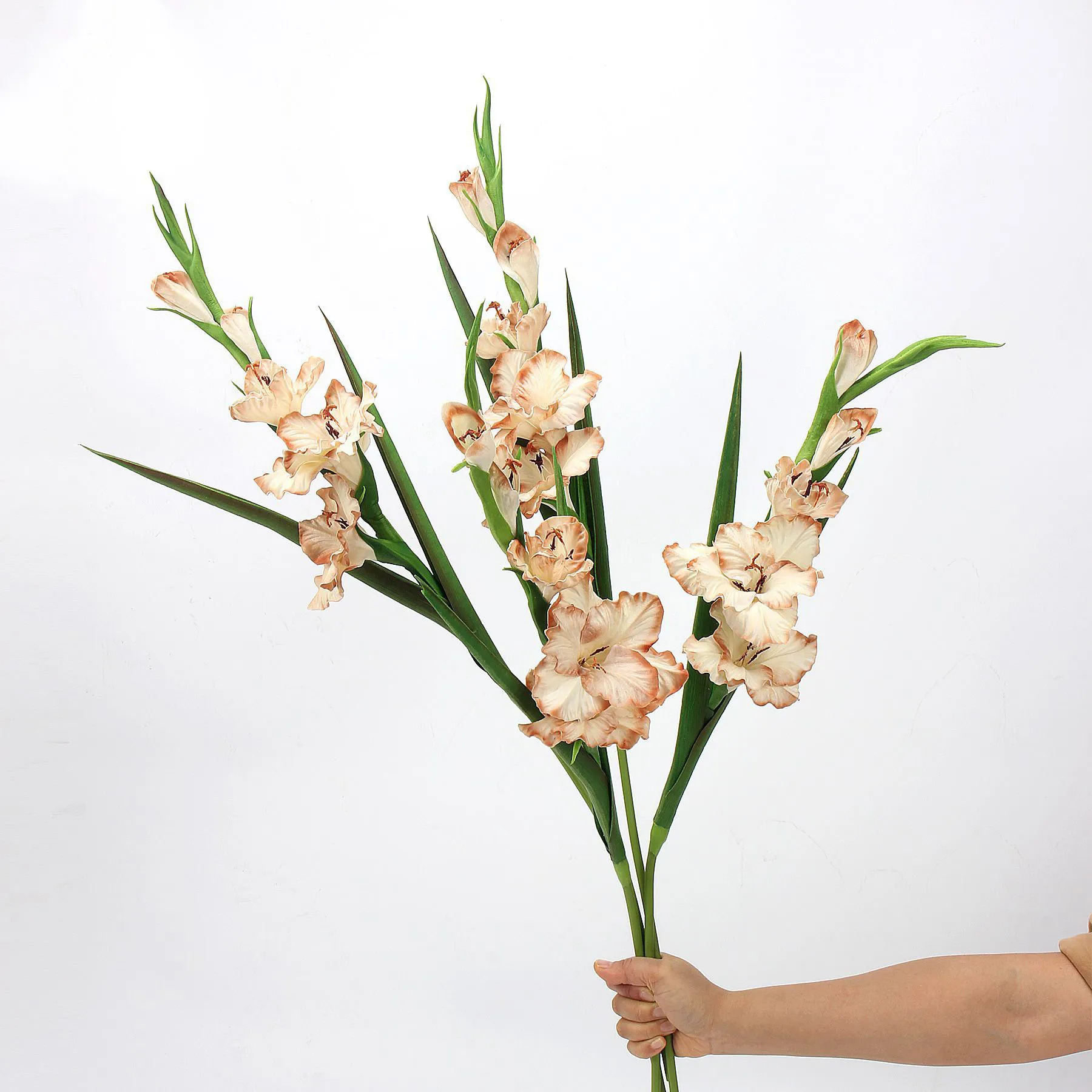 Desenvolvimento - Que simulação Flores as principais celebridades da Internet usam em suas casas?