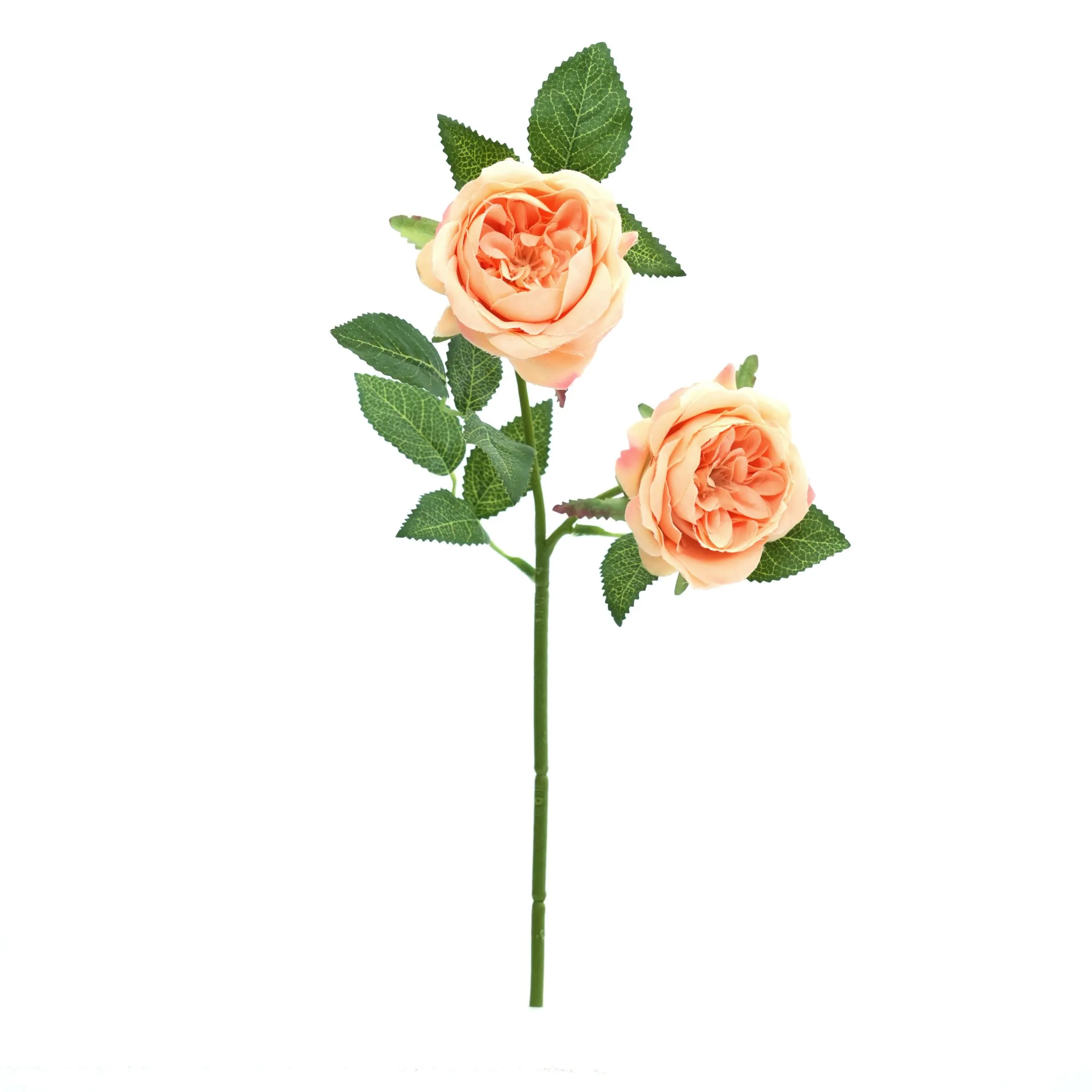 2 rosas