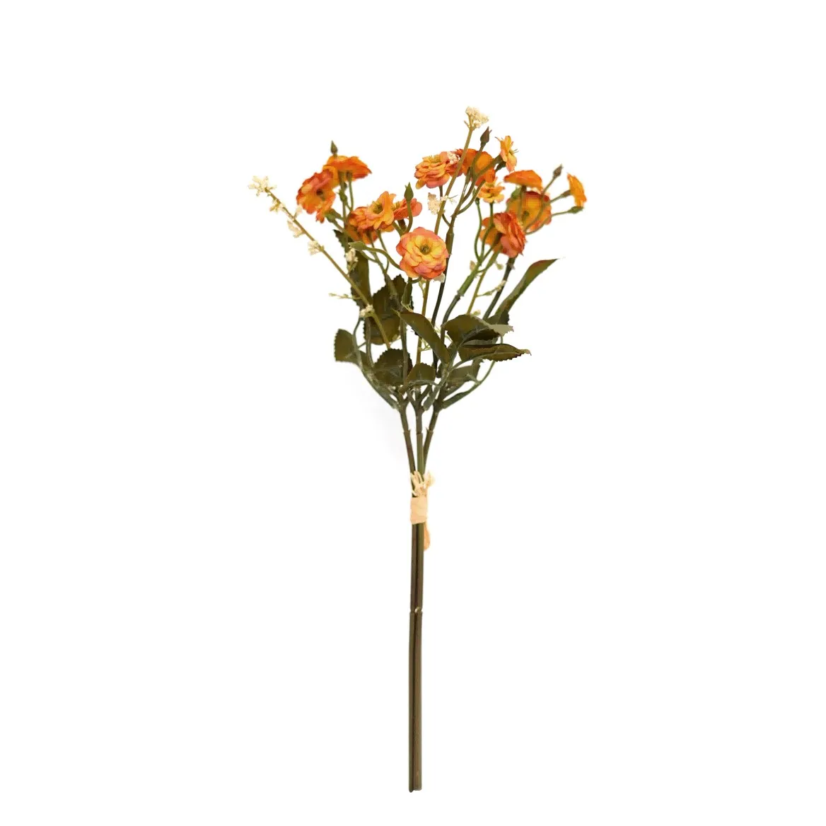 pequenas rosas