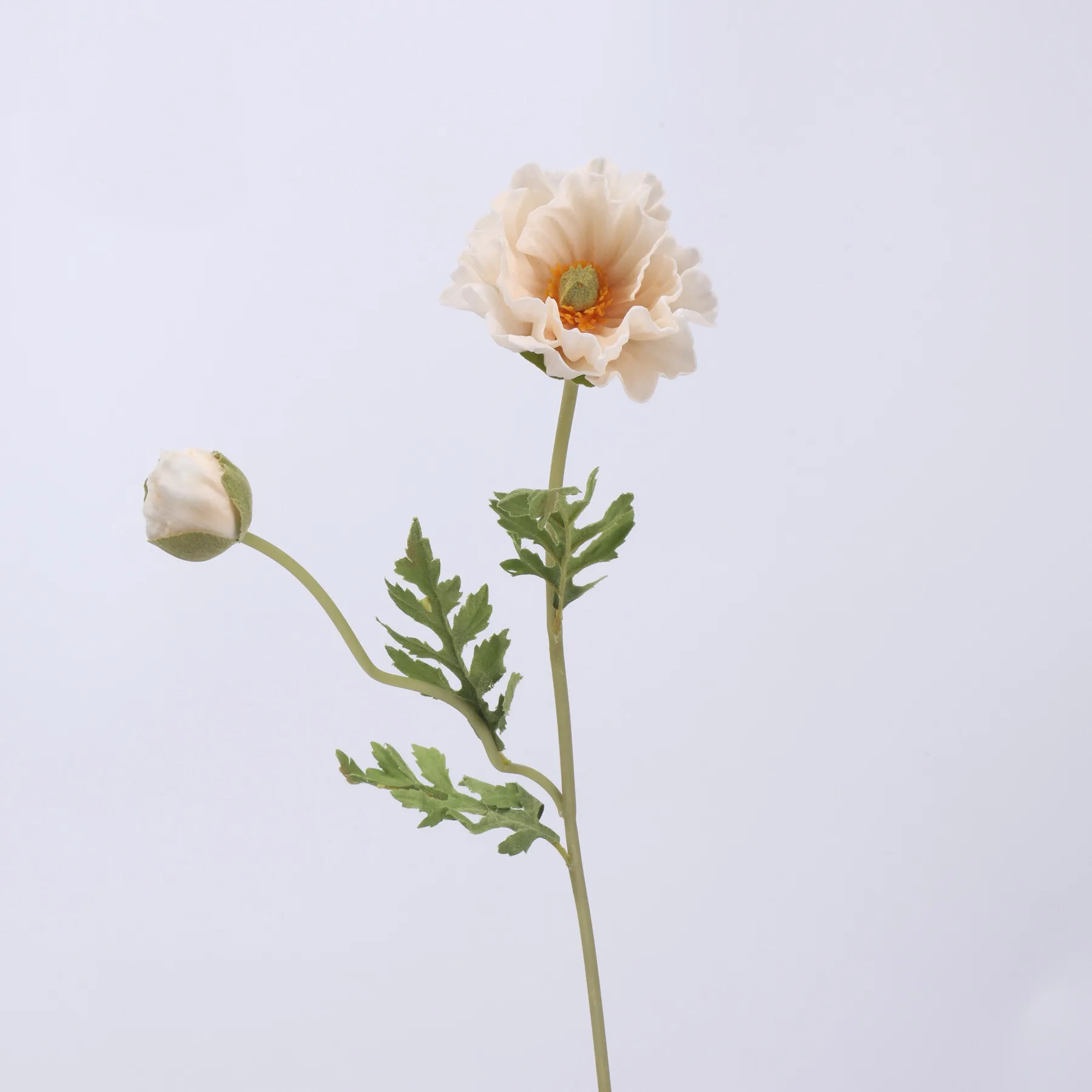 poppy de milho