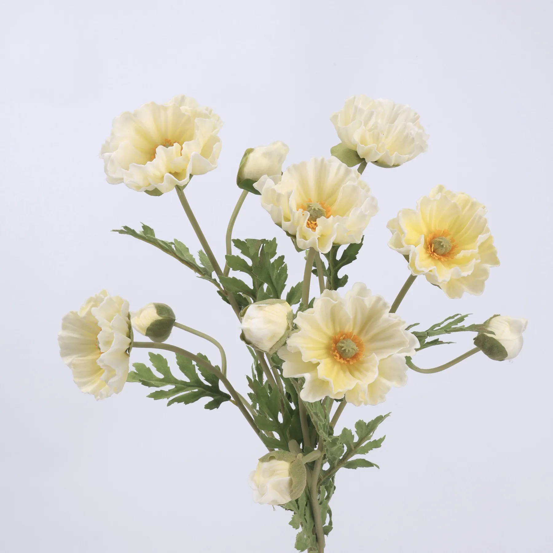 poppy de milho