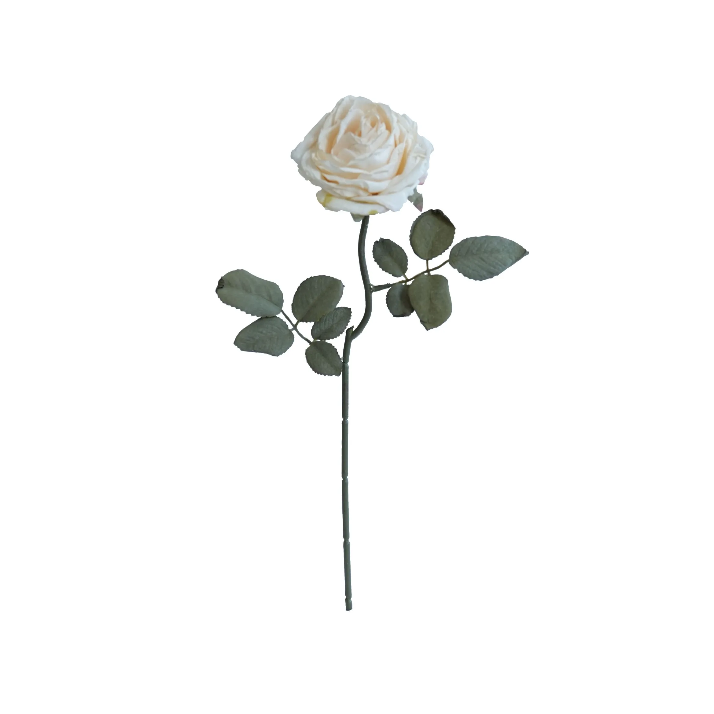 Rosas multicamadas com cor de cortiça